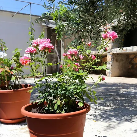 By The Sea Dingac - Potocine, Peljesac - 4533 Potomje