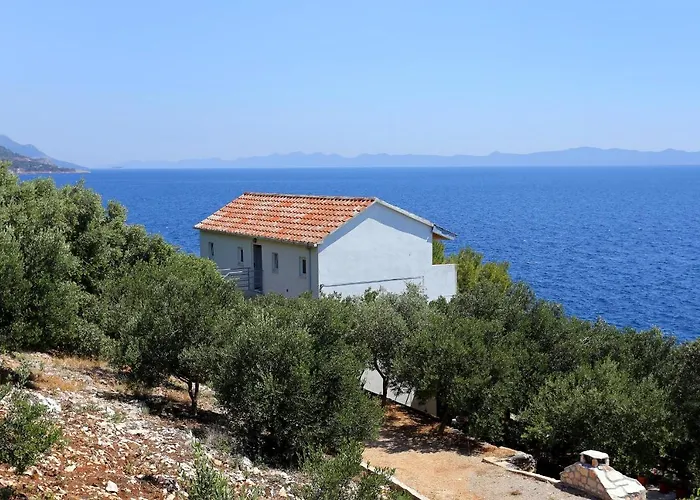 By The Sea Dingac - Potocine, Peljesac - 4533