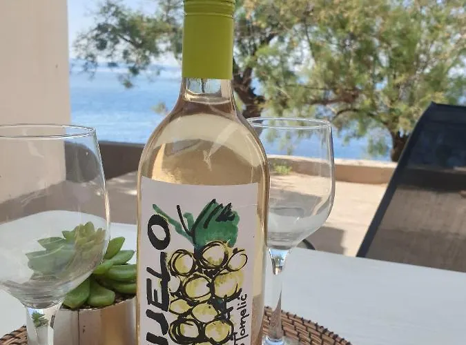 By The Sea Dingac - Potocine, Peljesac - 4533 公寓 Potomje