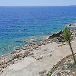 Apartman By The Sea Dingac - Potocine, Peljesac - 4533 *