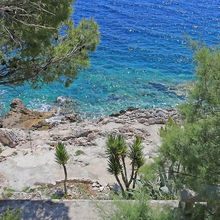 Apartment By The Sea Dingac - Potocine, Peljesac - 4533 *