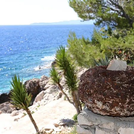 By The Sea Dingac - Potocine, Peljesac - 4533 公寓 Potomje